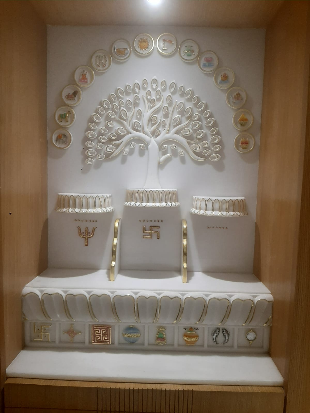 WhatsApp Image 2026-01-25 at 11.27.41 AM